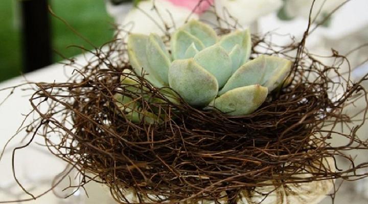 Weltevreden Game Lodge