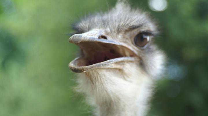 Weltevreden Game Lodge