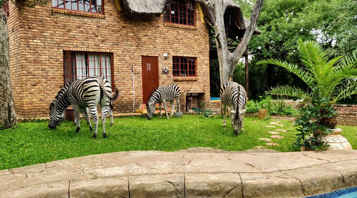 Rafiki's Resthouse