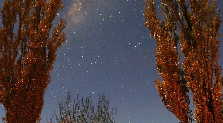 Wellwood Farm - Trymore Cottage