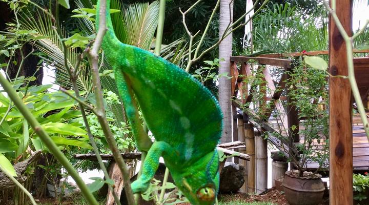 293 on Komba Guest House