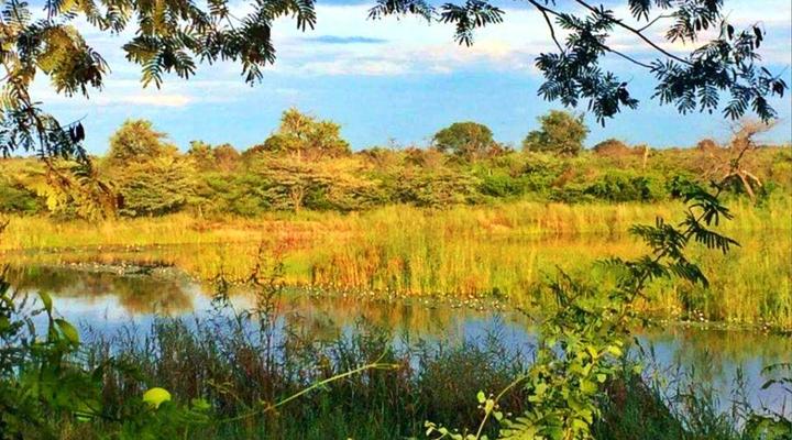 Sharwimbo River Camp