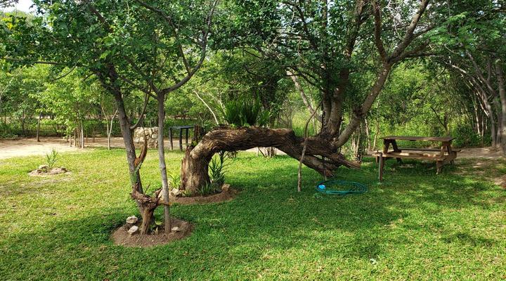 Sharwimbo River Camp