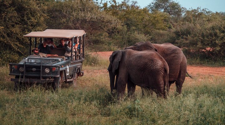 Tshukudu Safaris - Marula Camp