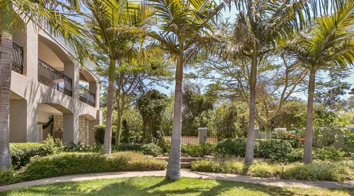 African Palm Cottage and Guesthouse