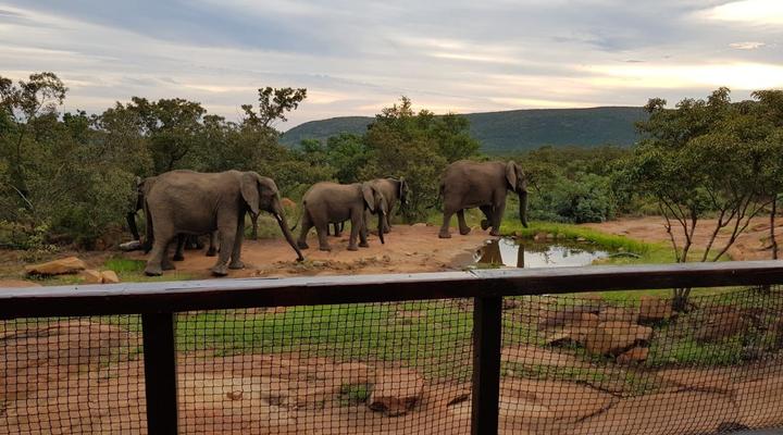 Tholo Lodge, Mabalingwe Nature Reserve