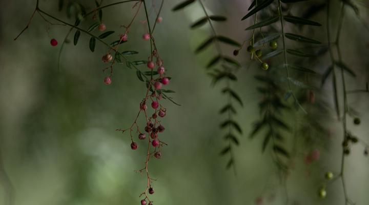 Seisoen Karoo Retreat Richmond