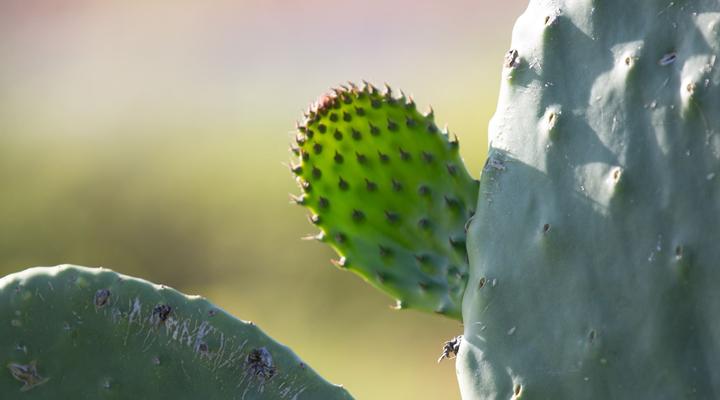 Seisoen Karoo Retreat Richmond