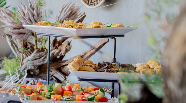 African Safari Lodge