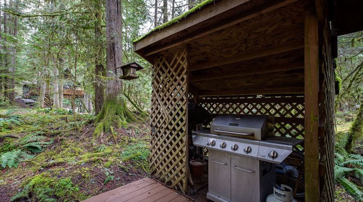 Glacier Springs Cabin #40