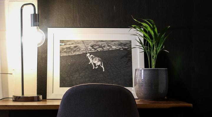 Toerboer Cottages - Hartland Huis