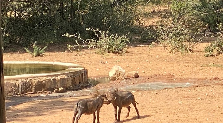 Twiga Lodge Mabalingwe