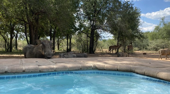 Twiga Lodge Mabalingwe