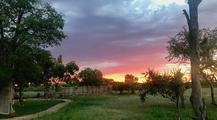 Buffalo Thorn Safari Lodge