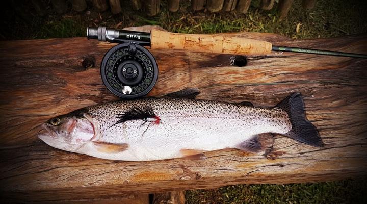 Copperleigh Trout Cabin