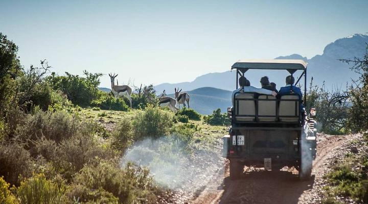 Pilanesberg Wildlife Safari DAY TOUR