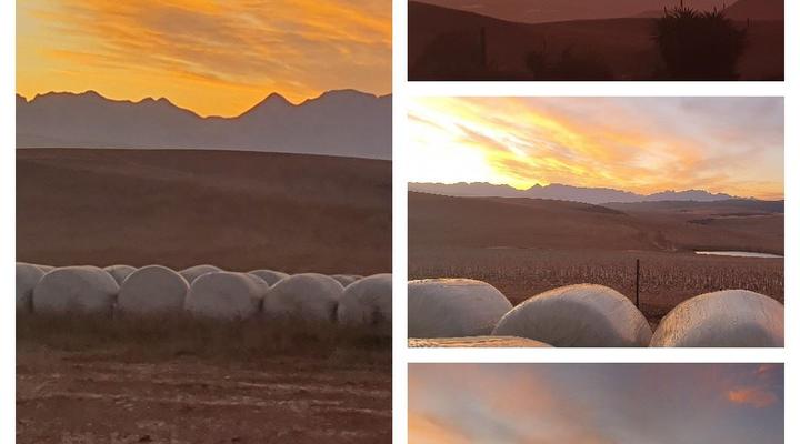 Blue Gum Farm Cottage