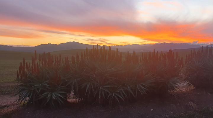 Blue Gum Farm Cottage