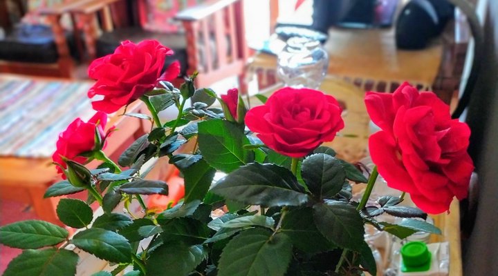 Anja's Place Self Catering Accommodation