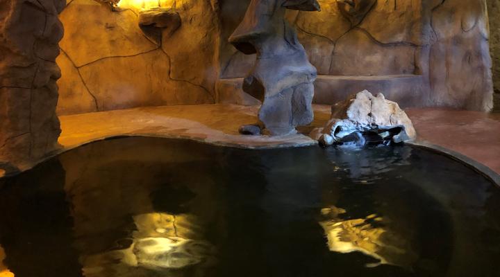 Bosveld Wegbreek Safaris