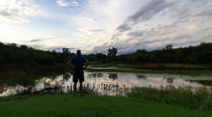 Bosveld Wegbreek Safaris