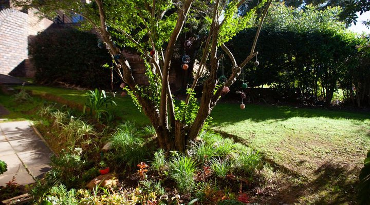 Ambience Garden Apartment