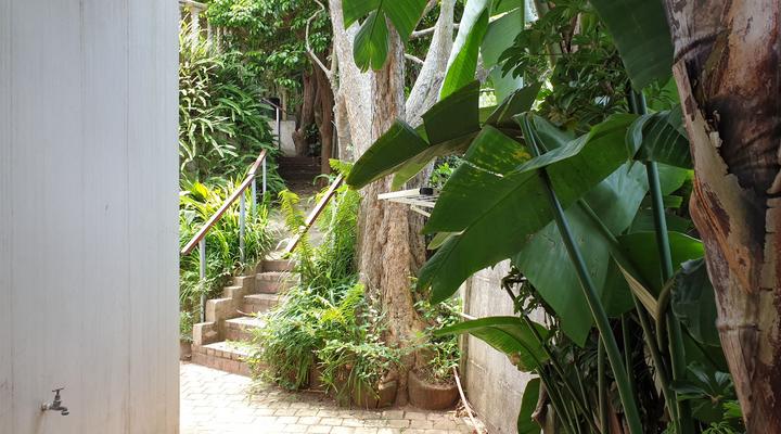 Kingfisher By The Sea