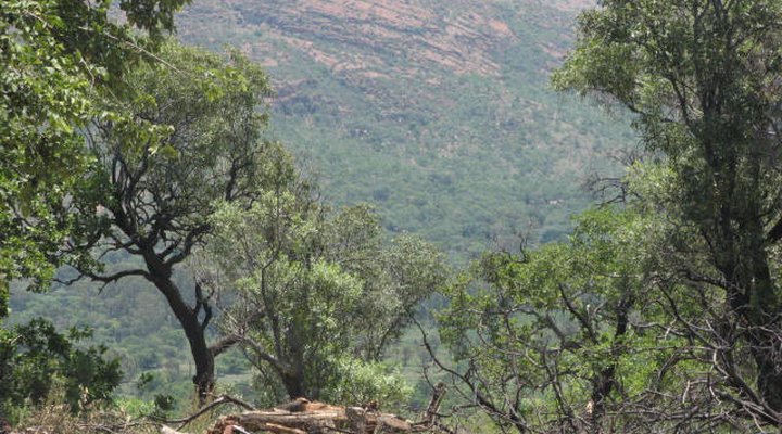 Mary's View Bed & Breakfast