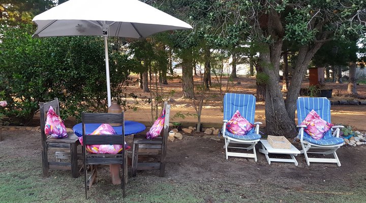 Alpaca Self Catering Cottage