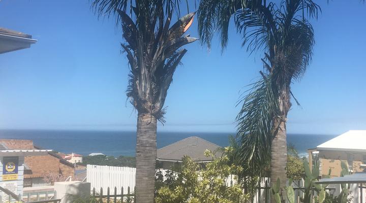 Beach Gypsy - The Deck