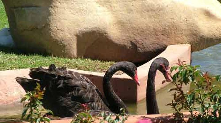 Nuy Vallei Guest Farm