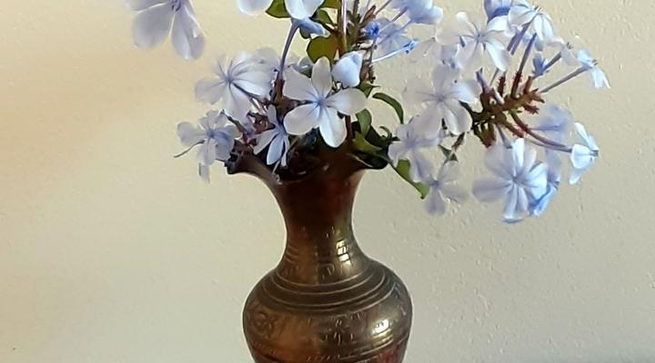 Holiday Apartment Glencairn