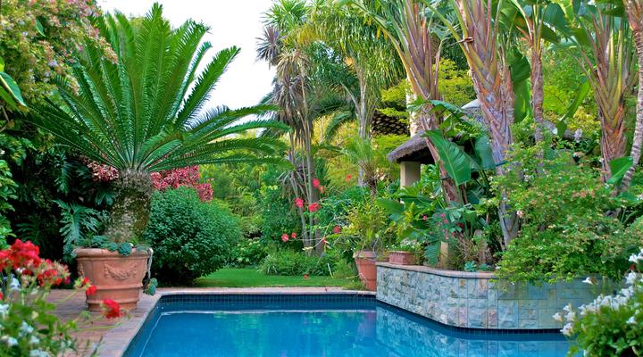 TreeTops Self-catering