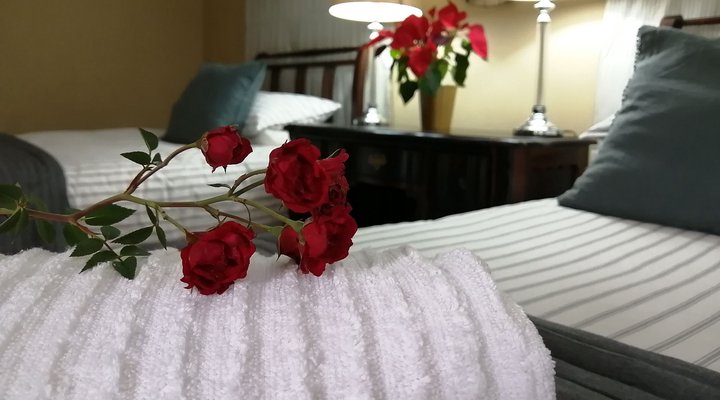 Timmerskraal Self-catering and B&B Cottage