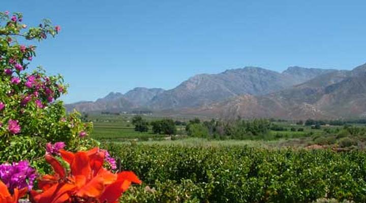 Nuy Vallei Guest Farm