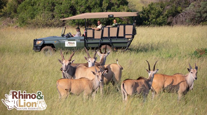 Rhino and Lion Nature Reserve 