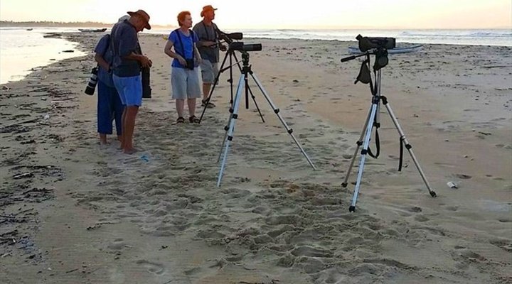 4 Night Bird and Beach Relaxation Tour