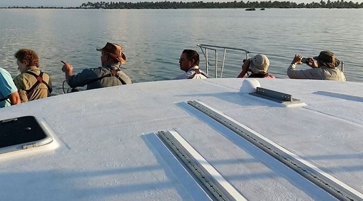 4 Night Bird and Beach Relaxation Tour
