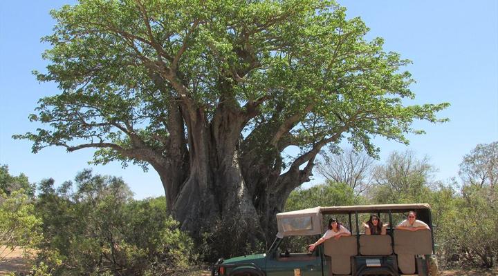 Mozambique and Kruger Park 6 Night Safari Tour