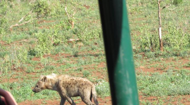 Mozambique and Kruger Park 6 Night Safari Tour