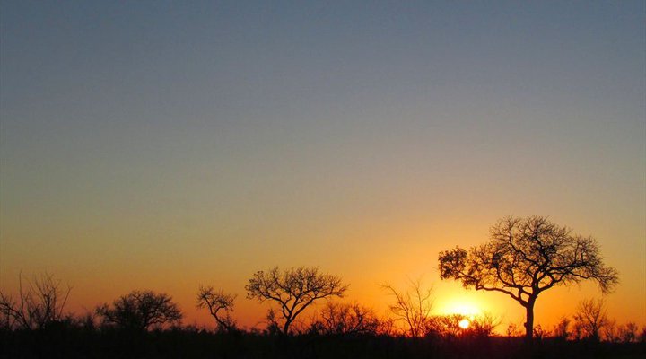 4 Night Kruger Three Park Tented Safari