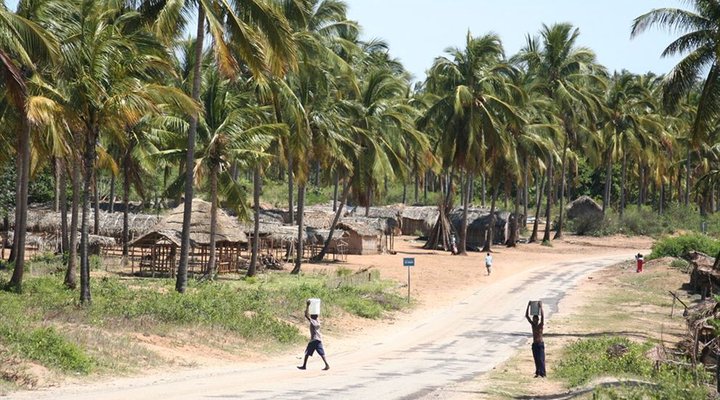 4 Night Mozambique Tropical Tour