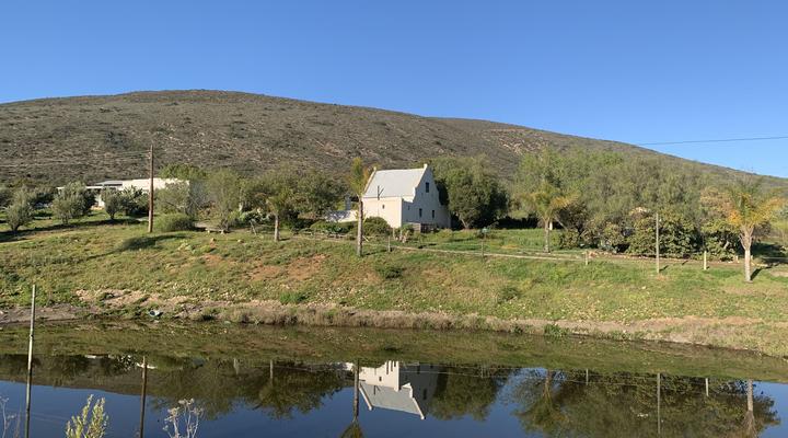 Rhebokskraal Olive Estate