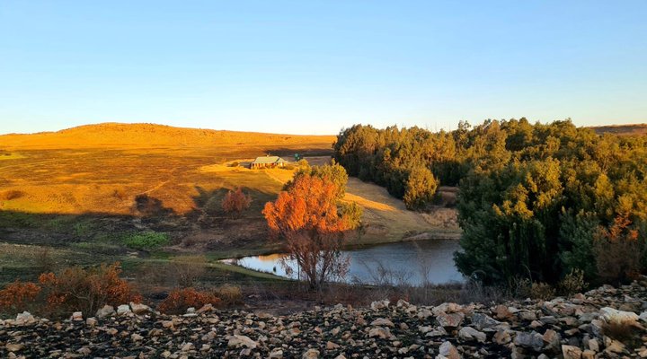 Kwaggaskop Game Farm