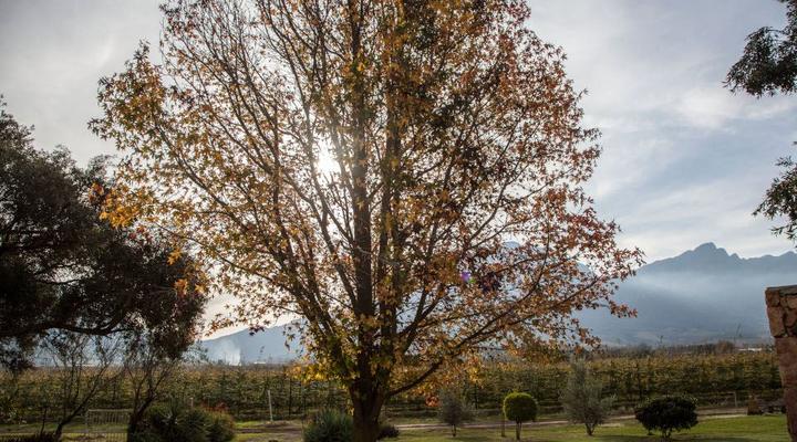 Bergsicht Country Farm Cottages - Couple Units