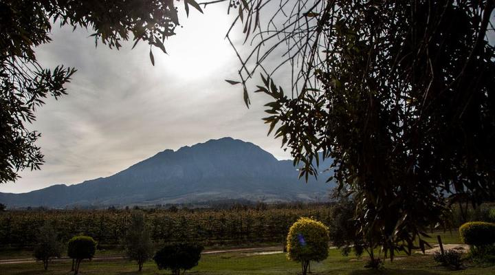 Bergsicht Country Farm Cottages - Family Units