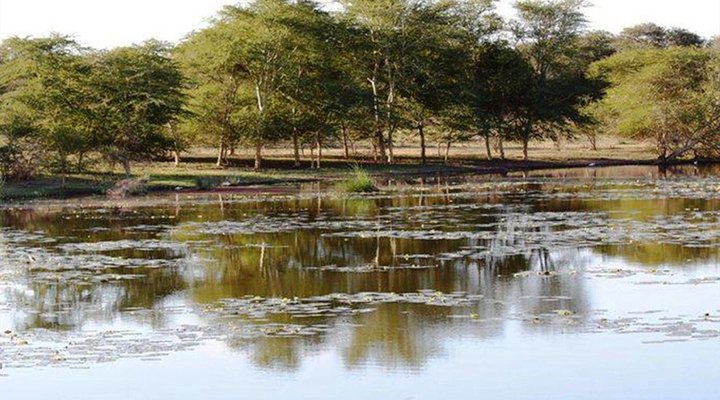 6 Night Kruger Park, Mozambique and Limpopo Park Adventure