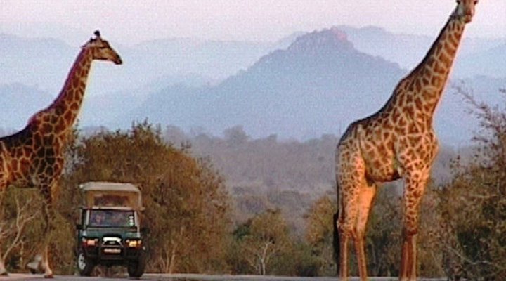 6 Night Kruger Park, Mozambique and Limpopo Park Adventure