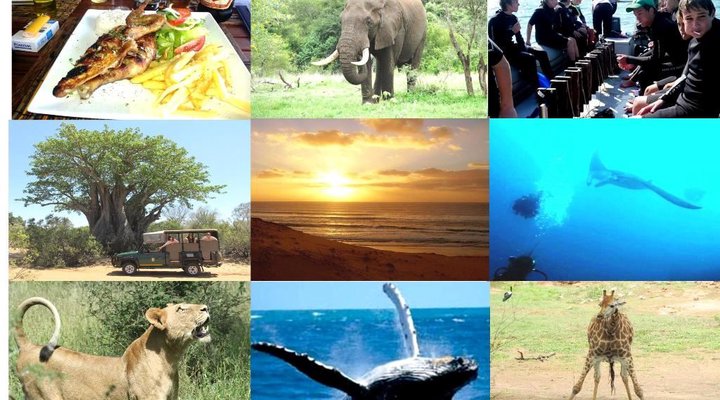 6 Night Kruger Park, Mozambique and Limpopo Park Adventure