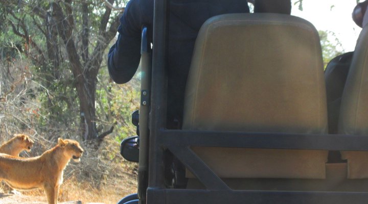 6 Night Kruger Park, Mozambique and Limpopo Park Adventure